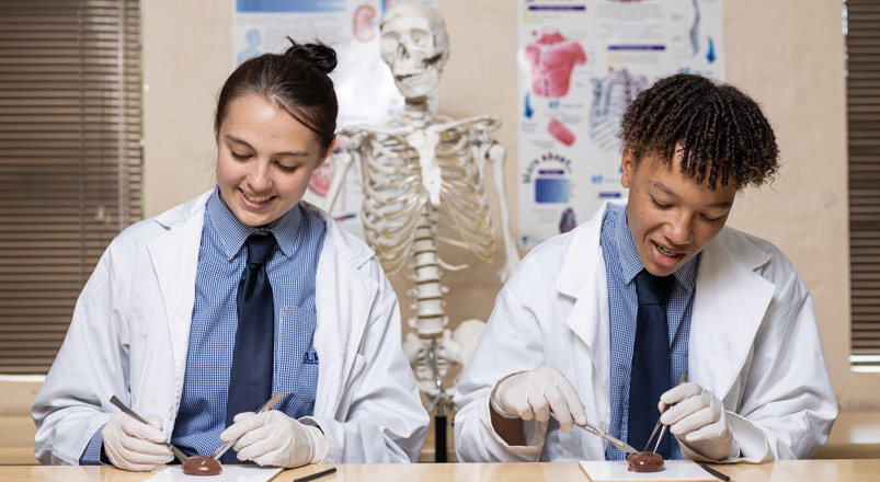Curro Aurora, high school in Sundowner, Curro education, Curro school, Curro fees, IEB schools, Robotics schools, high schools in Randburg, private schools near me, best school in Randburg