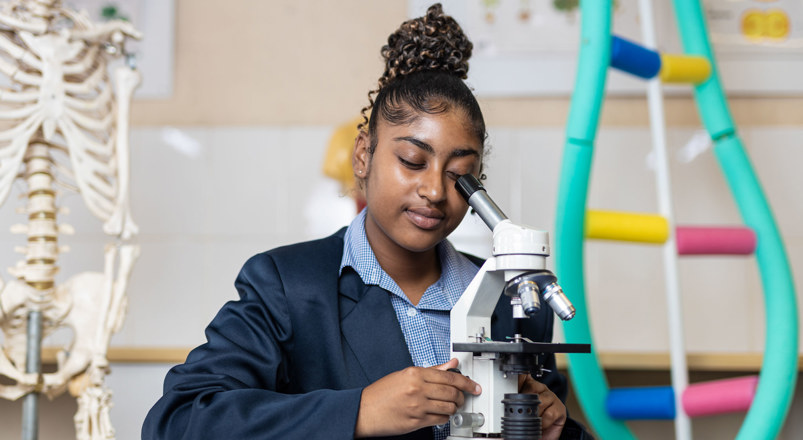 Curro Bankenveld, high school in Reyno Ridge, high school in Bankenveld, private schools near me, best school in Bankenveld, Curro education, Curro school, Curro near me
