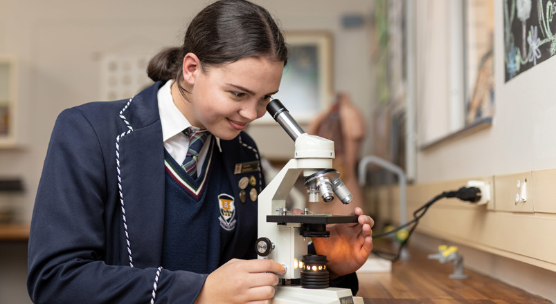 Woodhill College, Curro, best private school, best primary school, schools near me, Curro near me